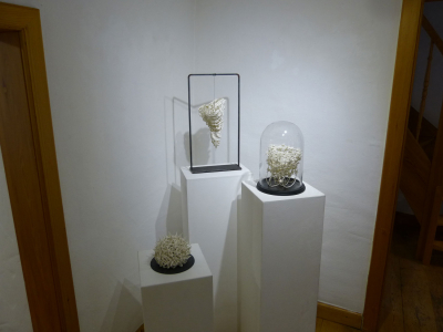P1260473