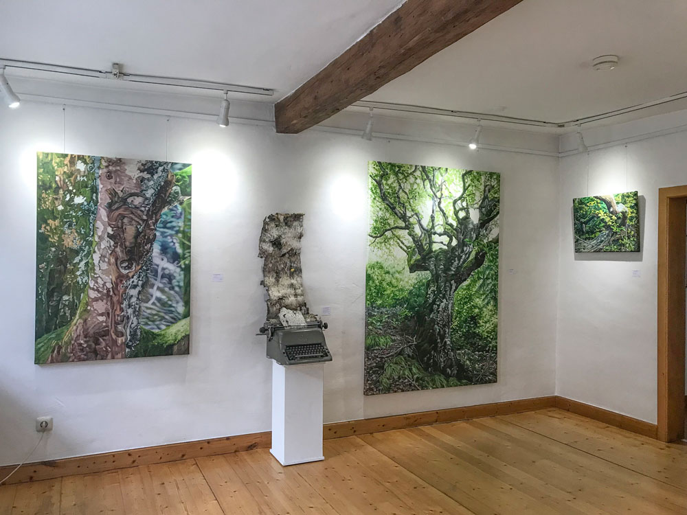 Galerie Altes Haus