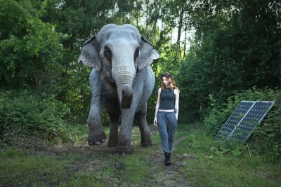 Perspektiven der Fotografie